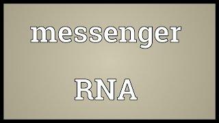 Messenger RNA Meaning