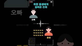 취한 동생에게 걸려온 전화