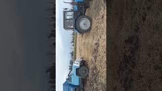 фермерские будни...