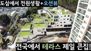 전국에서 가장 큰 테라스하우스 전원주택 Korea House Tour