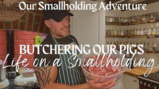 Butchering Pigs At Home - | UK Smallholding