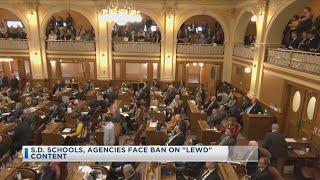 S.D. Schools, Agencies Face Ban On "LEWD" Content