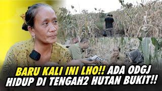 DEMI DIA YANG CANTIK ️️KITA HARUS MENEROBOS HUTAN DAN MENDAKI GUNUNG sampai NGOS-NGOSAN