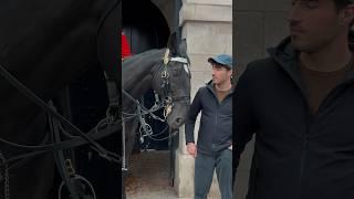 NOBODY EXPECTED THIS ️ | Horse Guards, Royal guard, Kings Guard, Horse, London, 2024