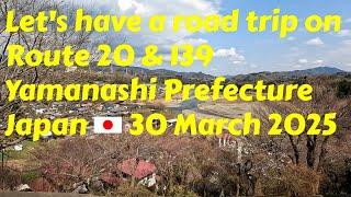 Let's have a road trip on Route 20 & 139 - Yamanashi Prefecture - Japan - 30 March 2025