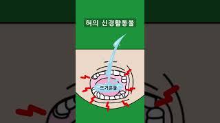 매울때 뜨거운거 먹으면 왜 더 매울까?