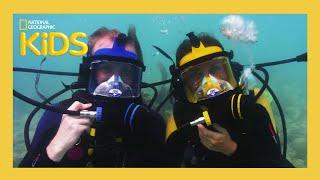 Sunken Treasure  | Weird But True! | S1 E3 | Full Episode | @natgeokids