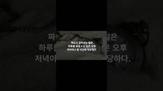 몸을 살리는 '소금' 먹기 딱 좋은 시간! #소금 #소금섭취시간 #건강정보 #이슈