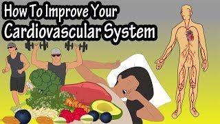 How To Improve Increase Your Cardiovascular System, Heart Rate, Endurance, Stamina And Fitness