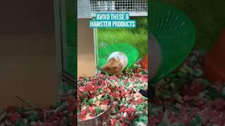 Avoid THESE 6 hamster products #pets #hamster #shorts #fyp #hamsteraccessories