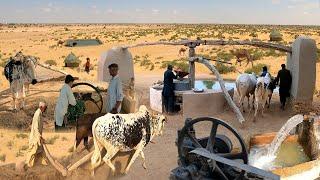 Beautiful Traditional Village Life in Pakistan | Beautiful Old Culture of Village in Punjab