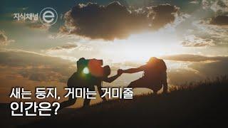 지식채널e - 우정이 있었다