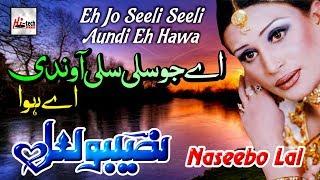 Eh Jo Seeli Seeli - Best of Naseebo Lal - HI-TECH MUSIC