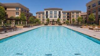 Crescent Village | San Jose Apartments for Rent