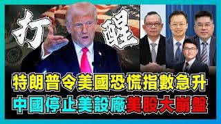 特朗普令美國恐慌指數急升，中國停止赴美設廠，美股大崩盤！｜越南、印尼首先跪低，歐洲被打醒，中歐如何聯手才能小勝一仗？【屈機頭條 EP206-1】