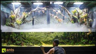 I Unleashed NEW SCHOOLS of FISH Into My Giant Wetlands Vivarium