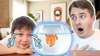 I Lost My Pet | Kids Songs and Nursery Rhymes by Papa Joel's English