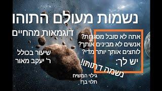 נשמות דתוהו דוגמאות מהחיים - שיעור בכולל של ר' יעקב מאור. אתה שונא מסגרות ונהלים? נשמתך מעולם התוהו!