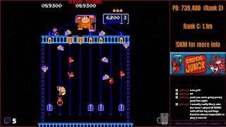 Donkey Kong Junior - 1,167,000