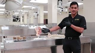2019 Introduction to UCF Doctor of Physical Therapy Program