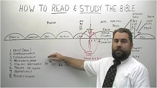 How to Read and Study the Bible #study #biblestudy #howtostudybible #rightlydividingtheword