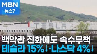 테슬라 15%↓·나스닥 4%↓…백악관 진화에도 "패닉" [MBN 뉴스7]