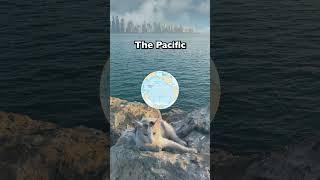 FUN OCEAN FACTS You NEVER Knew (PART 2)! 