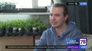 78 канал и Парень из сада о рассаде и семенах | будни огородника дачника