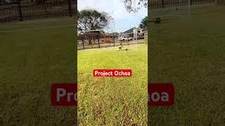 Project Ochoa