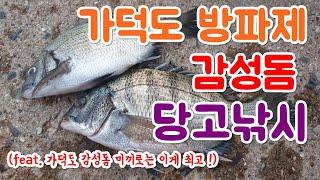 가덕도 방파제 낚시 :) 가덕도 감성돔 낚시 미끼로는 이게 최고 !