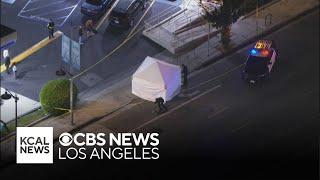 Rollerblader dies after hit-and-run crash in West Los Angeles