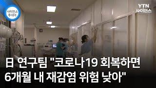 日 연구팀 "코로나19 회복하면 6개월 내 재감염 위험 낮아" / YTN 사이언스