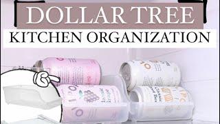 VIRAL  Dollar Tree KITCHEN ORGANIZATION #hacks #dollartree #kitchen #home #organization