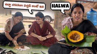 Chicken పచ్చడి, గుమ్మడికాయ halwa #youtube #yummy #chickenpickle #halwa #harvesting