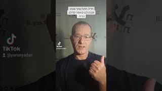 חזל: חתול שחור שאמו וסבתו לבנים | ירון ידען