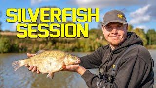 Pole Fishing For Skimmers | (session Video)