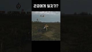 감히 관공에게 발차기??? #yoho요호 #게임 #삼탈워