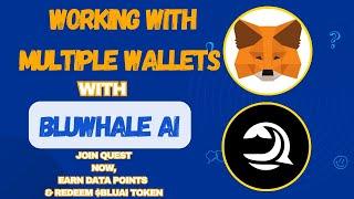 PRACTICAL GUIDE ON HOW TO WORK WITH MULTIPLE WALLETS ON METAMASK WALLET EXTENSION WITH BLUWHALE AI