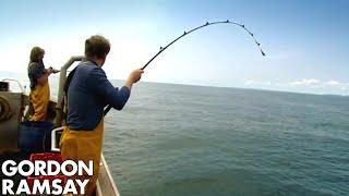 Gordon Ramsay Fishes & Cooks Conger Eel | Gordon Ramsay