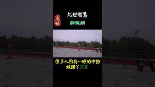 1083  真正的強大是不被情緒左右#情感#智慧#人生感悟#情感#智慧#人生感悟#勵志