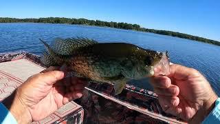 Unlimited Crappie