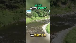 인제 촌집이 정말 공짜 입니다 내린천계곡토지 매매 #인제계곡땅#내린천계곡토지#인제촌집