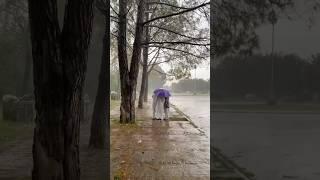 ١ نوفمبر، ٢٠٢٤