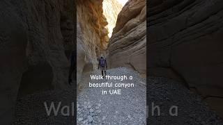 Walk through beautiful mountains in UAE #travel #adventure #beauty