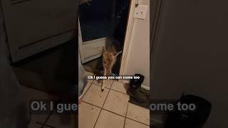 Surprise visitor during tornado warning ️