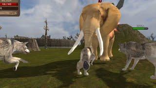 Hungry Wolves  Attacked a Strong Elephant  Ultimate Wolf Simulator By Yamtar Simulator Games