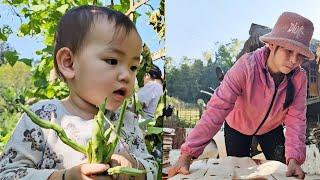 Drying wooden boards and gardening with daughter to grow vegetables