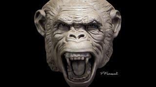 Sculpting a Chimp Part 2