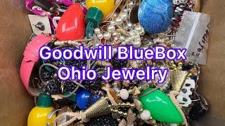 Goodwill BlueBox 5 Pound Mystery Jewelry Box Ohio More 14K & Bulbs #jewelry #unboxing #goodwill