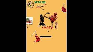 WUSHU MARTIAL ARTS SCHOOL | ADDMISSION GOING ON | HURRY UP GUYS  |